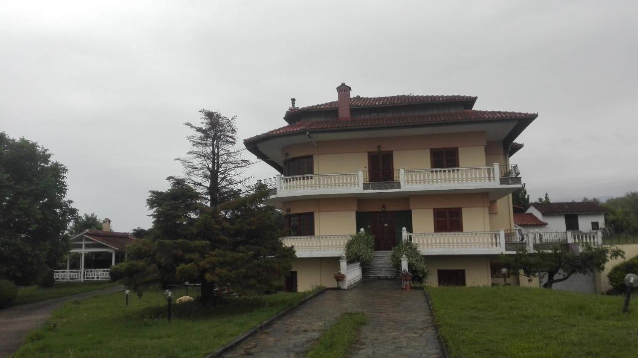 Villa Litochoro House With A View Extérieur photo